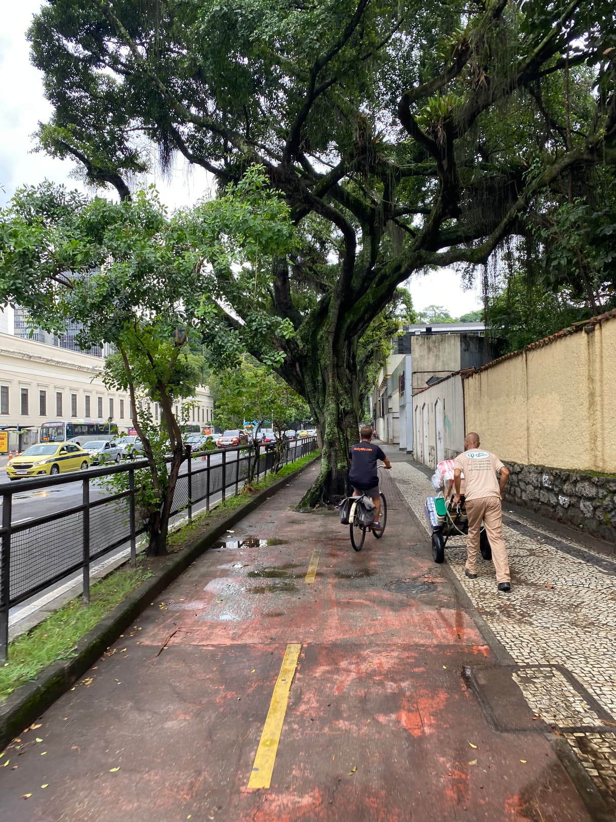 Brazilië — eigen foto 8