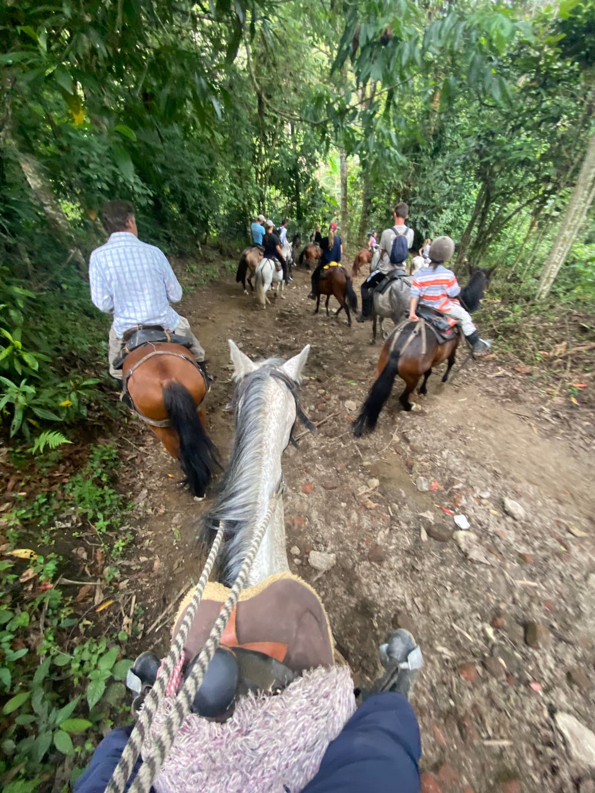 Colombia — eigen foto 7