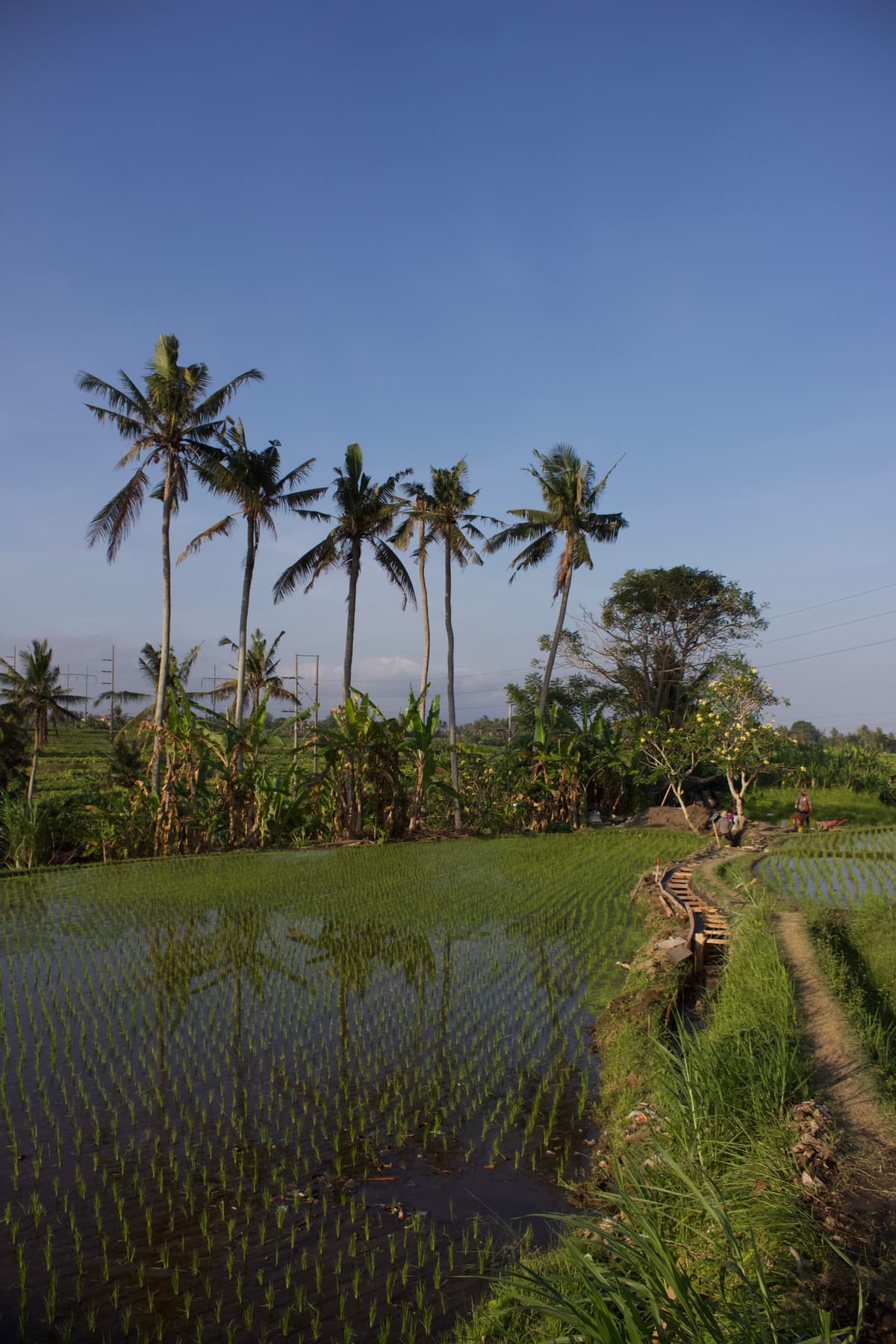 Indonesië — eigen foto 1
