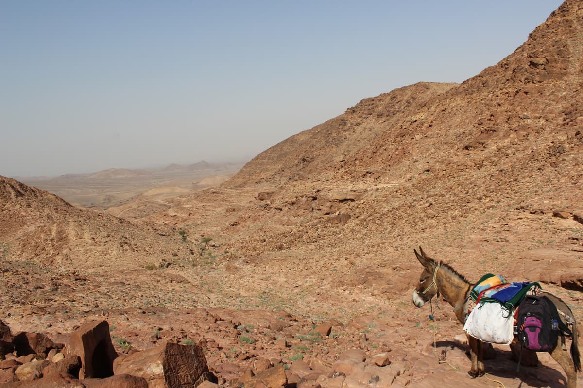 Jordanië — eigen foto 10
