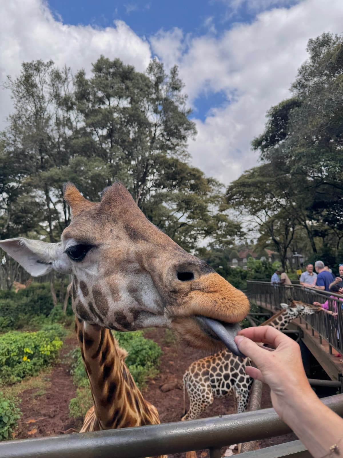 Kenya — eigen foto 4