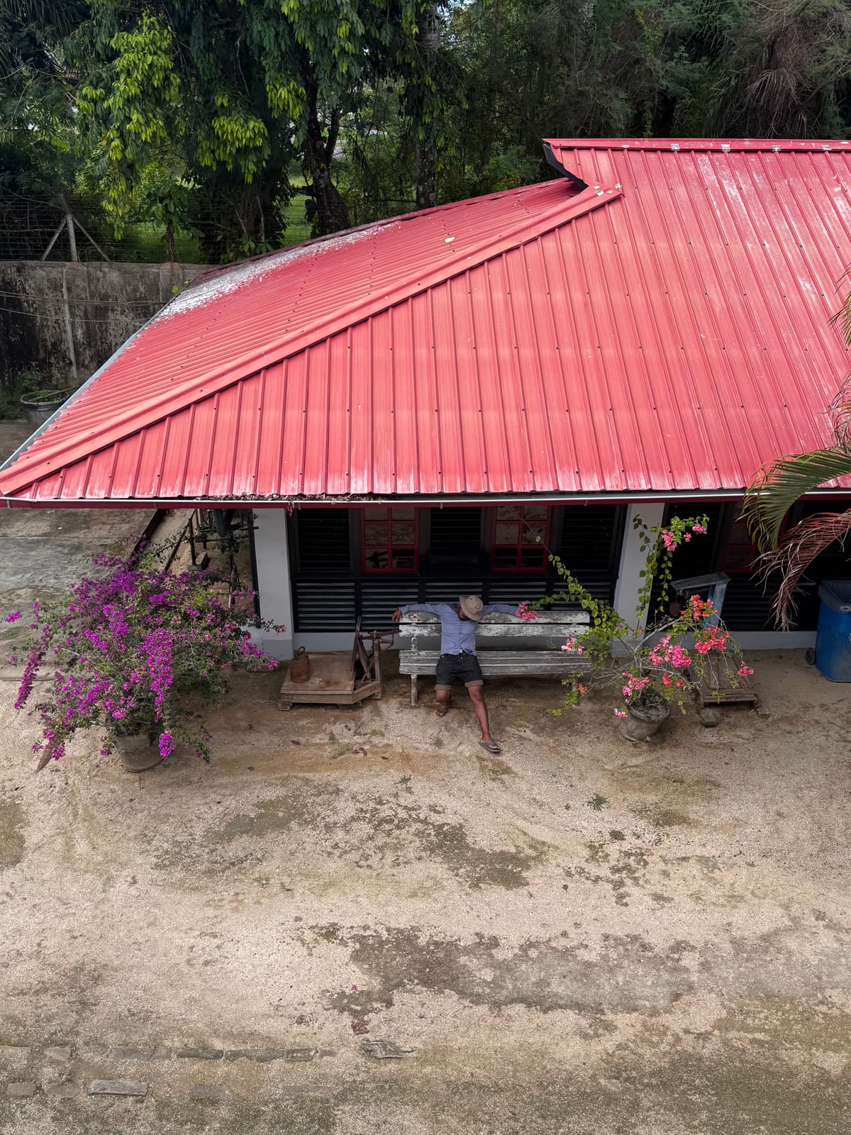 Suriname — eigen foto 5